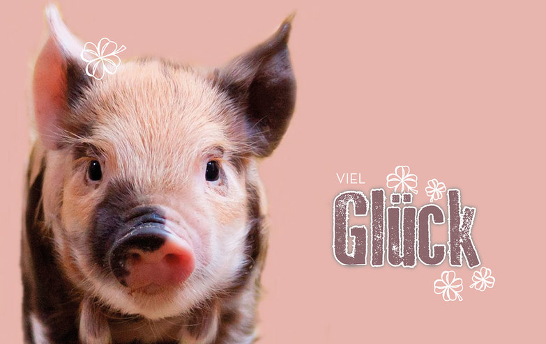 Grußkarte: Glücksschwein mit Fleck